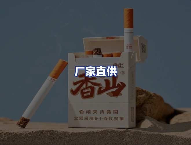 专业团队